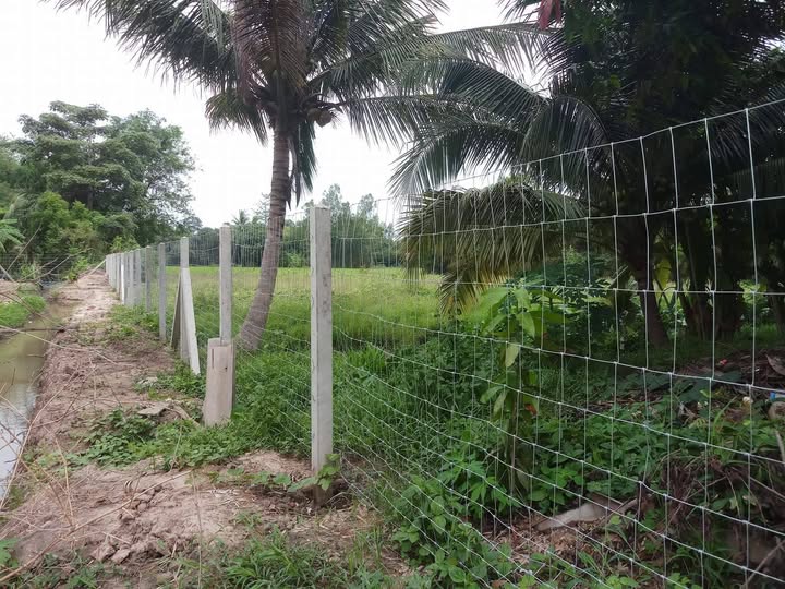 รั้ว ไร่นา เลือกอย่างไรให้คุ้มค่า