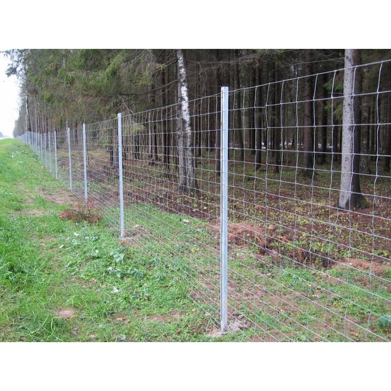 จำหน่ายรั้วตาข่ายสำหรับโครงสร้างขนาดใหญ่