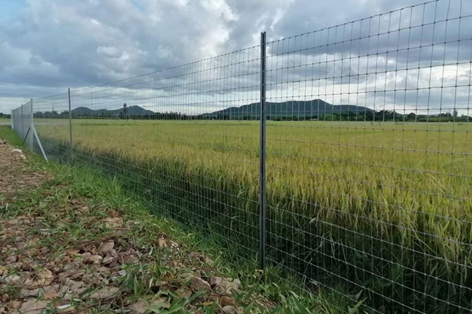 การจำหน่าย รั้วตาข่ายถักปม แข็งแรง